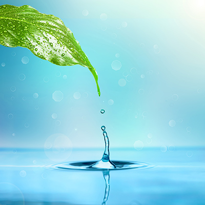 agua